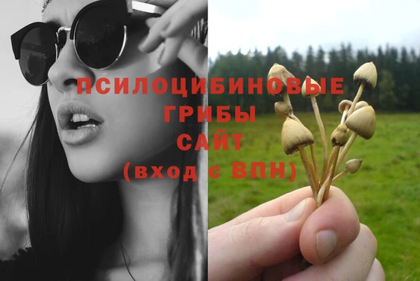 прущая мука Киреевск