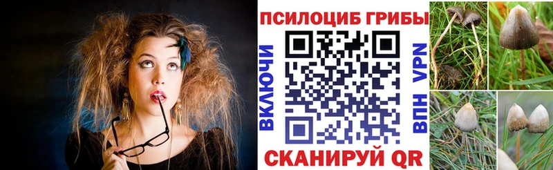 Купить где  Златоуст  Галлюциногенные грибы MAGIC MUSHROOMS 